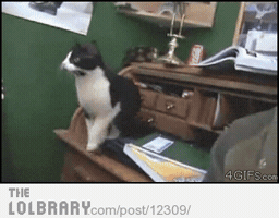 200.gif