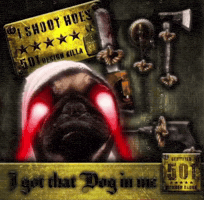 Cool Pug GIF