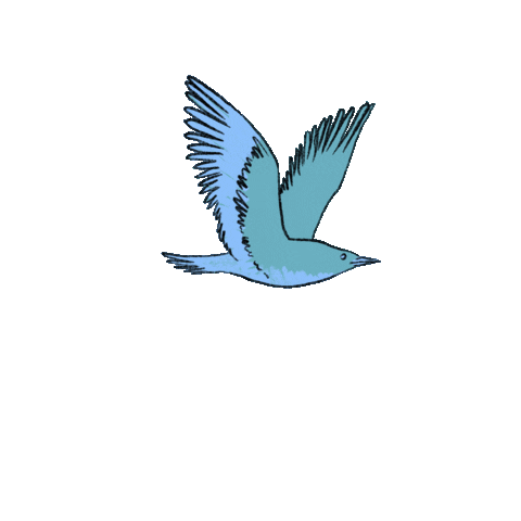 Bird Flying Sticker by E MERLIN MURRAY