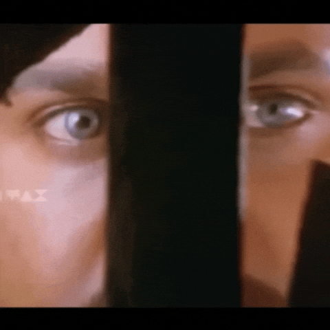 Mollywood GIF