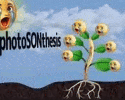 Photo Son GIF