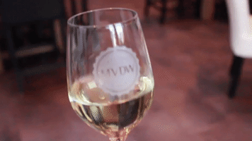 wine wineglass GIF