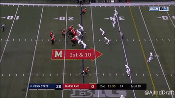 Nfl Draft GIF