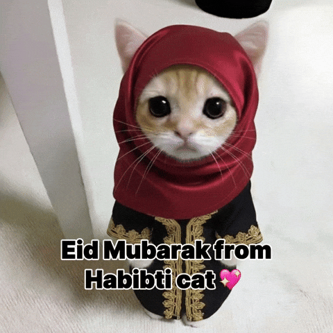 Eid Al Fitr Islam GIF