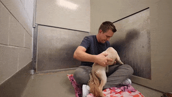 Dog Rescue GIF