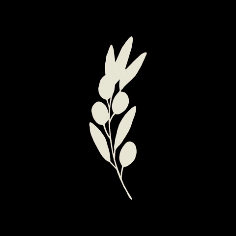 Mizo GIF