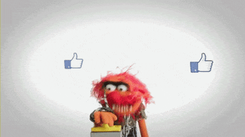 social media muppets GIF