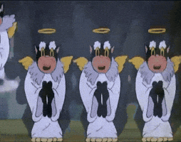 Animated GIF