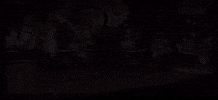 Chicken Company GIF