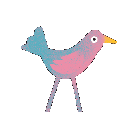 Teresina Girasol Sticker by festivalgirasol