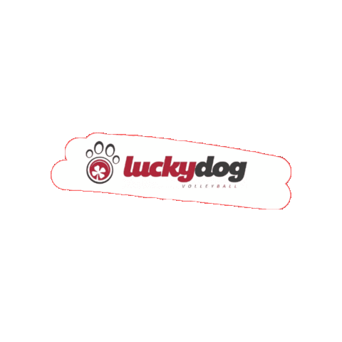 Luckydog Volleyball Sticker