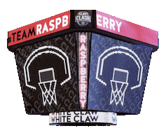 Basketball Raspberry Sticker by White Claw