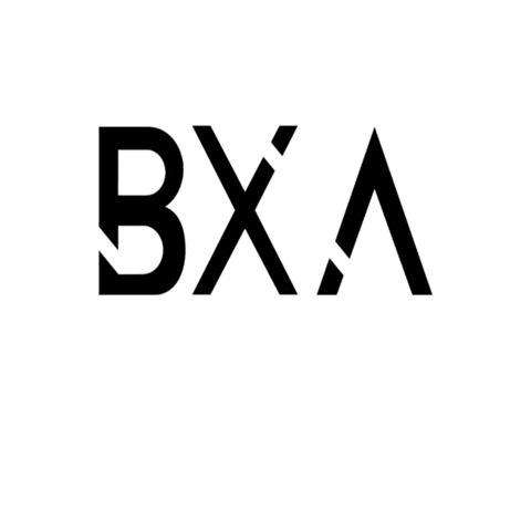 bixair.clothing Sticker