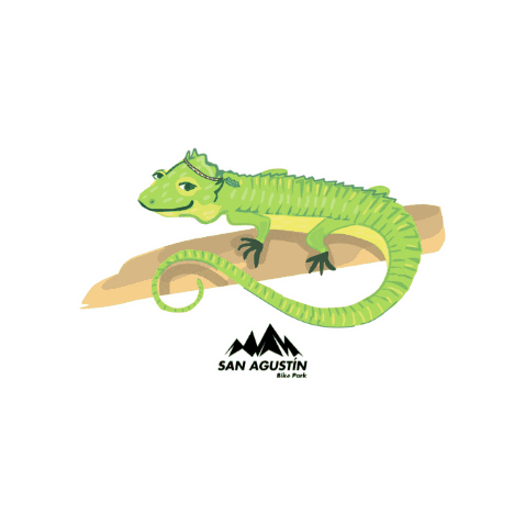 San Agustin BP Sticker