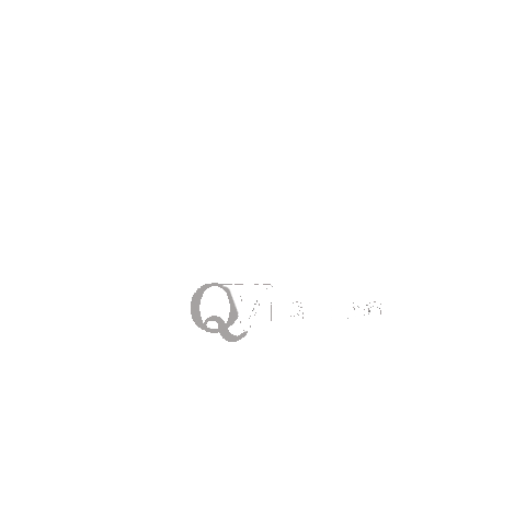 QVestido Sticker