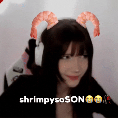Shrimpysoso GIF