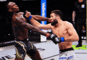 Fight Ufc GIF by promaslist