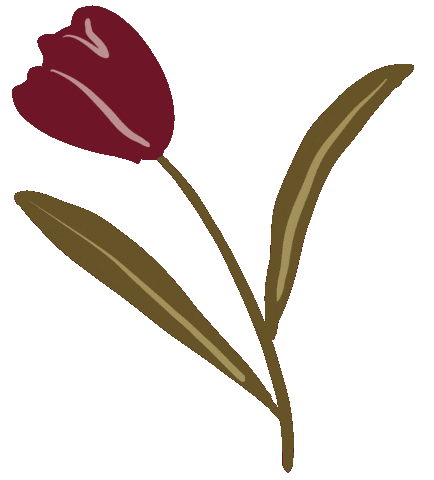 Louisa Tulip Sticker by Louisa Taylor Studio