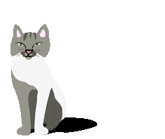 Cat Log Sticker