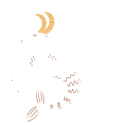 Hocus Pocus Signos Sticker by Pitahia