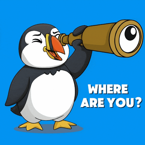 Animation Staring GIF by Puffins