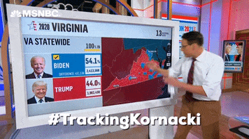 Election GIF by MSNBC