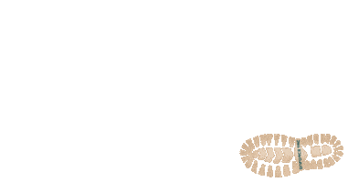 Steps Sticker by Enforce Tac