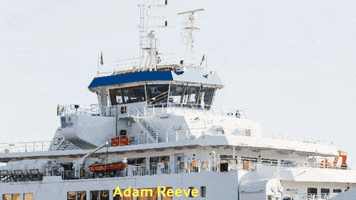 Adam Reeve GIF