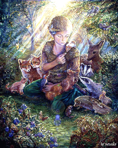 fairy