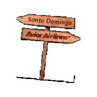 Veranoflexible Sticker by Avior Airlines