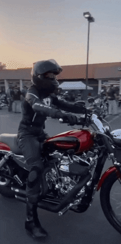 Anti_Parallali motorcycle harley harley davidson lali GIF