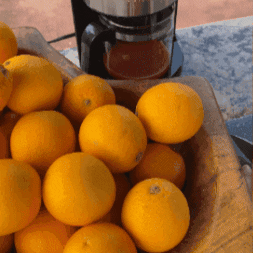 Orange Satisfying GIF by Miami Fruit