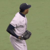 Yankees GIF by Jomboy Media - Find & Share on GIPHY