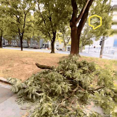 Summer Storm GIF by Linz News