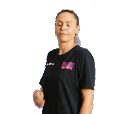 VBC Casalmaggiore Sticker