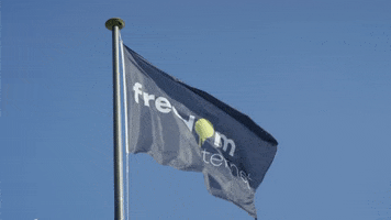 Freedom-Internet logo flag internet waving GIF