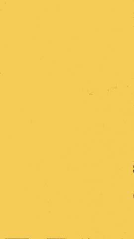 Houtbaarhaarlem GIF