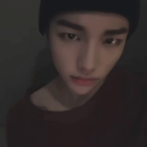 Stray Kids GIF
