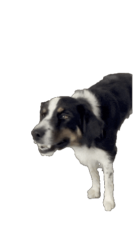 Franz Hof GmbH Sticker