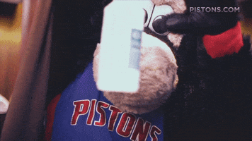 GIF by Detroit Pistons
