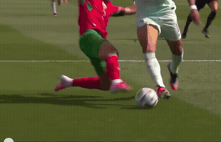 France Fifa GIF