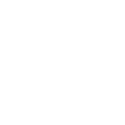 F1 The Album Sticker