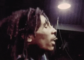 Bob Marley And The Wailers Reggae GIF by Bob Marley