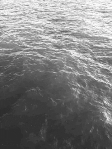 Black Sea GIF