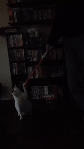 alexiaminton  GIF