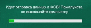Вилофи GIF by Welofi
