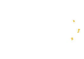 Yellow Sticker