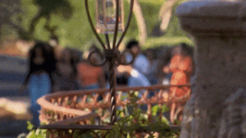 Welcome Home Hello GIF by The Bachelor