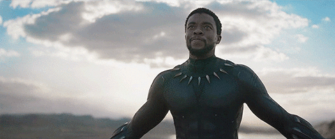 Black Panther Marvel GIF - Find & Share on GIPHY