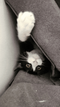 GIF by TOTVS